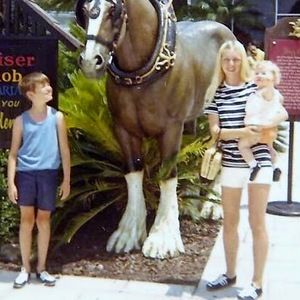 Meet your Posher, Ps